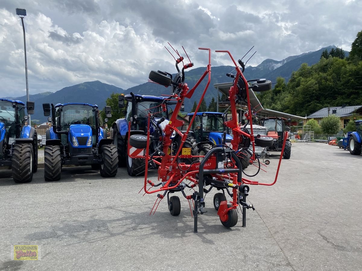 Kreiselheuer typu SIP Spider 600/6 Alp, Neumaschine v Kötschach (Obrázek 14)