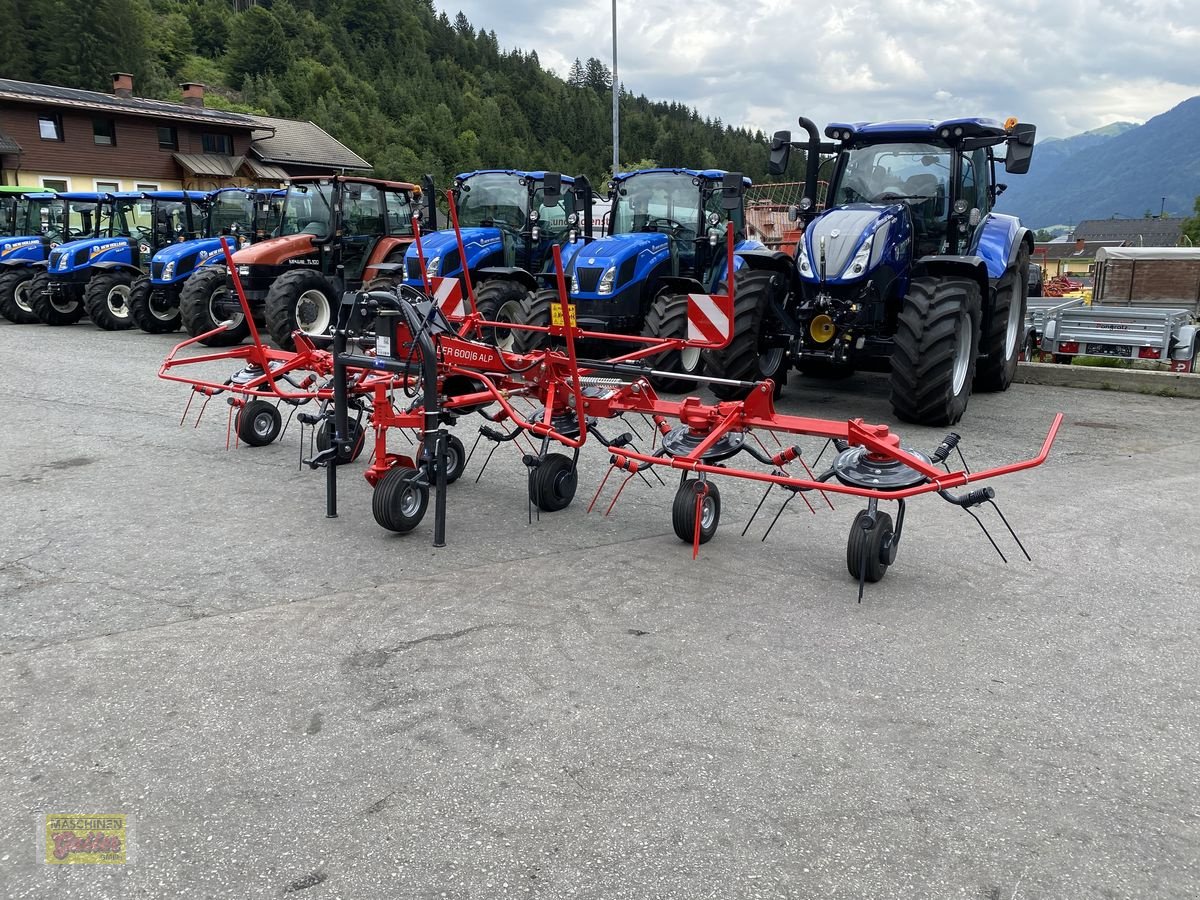 Kreiselheuer des Typs SIP Spider 600/6 Alp, Neumaschine in Kötschach (Bild 22)