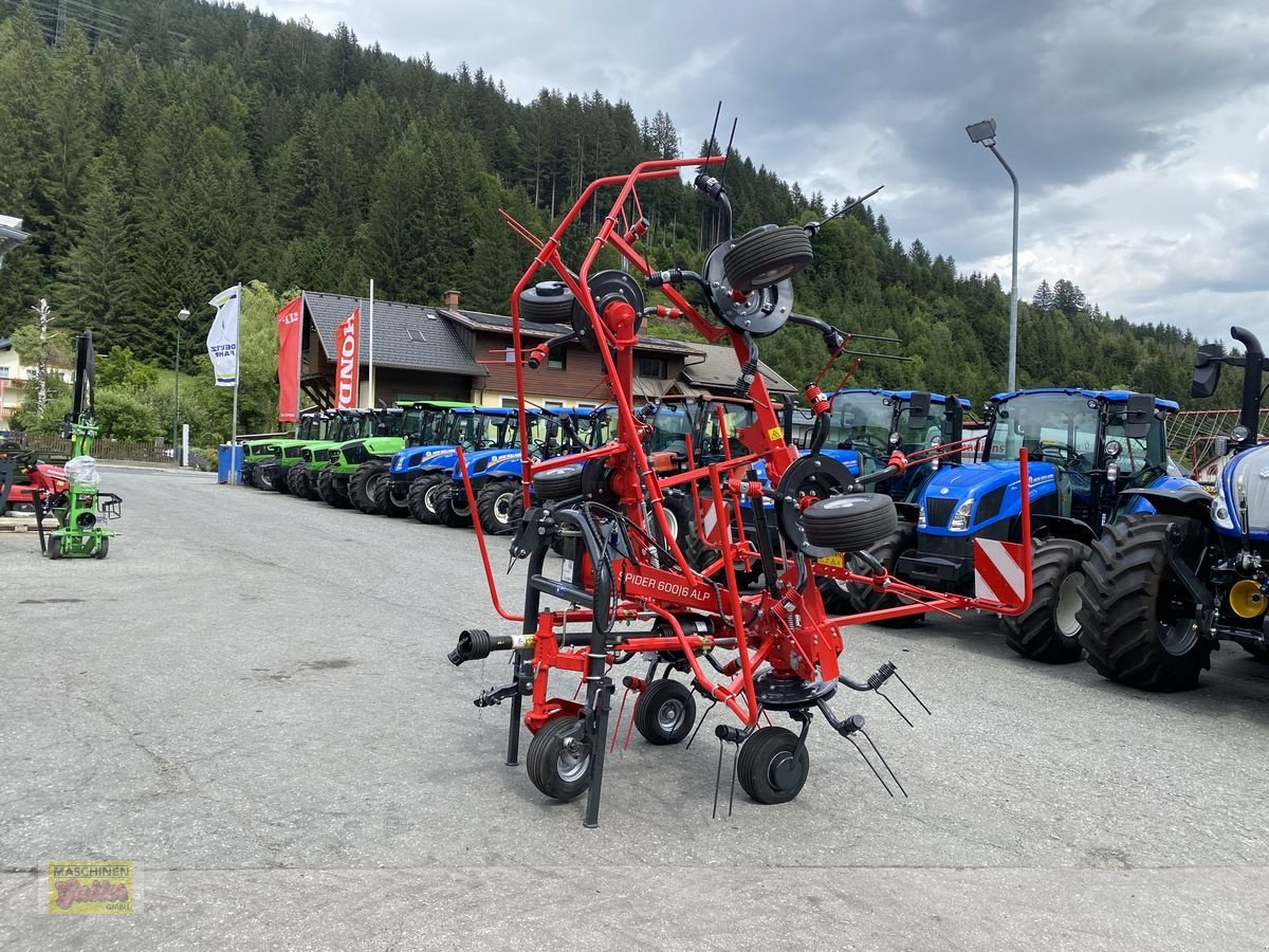 Kreiselheuer typu SIP Spider 600/6 Alp, Neumaschine v Kötschach (Obrázek 11)