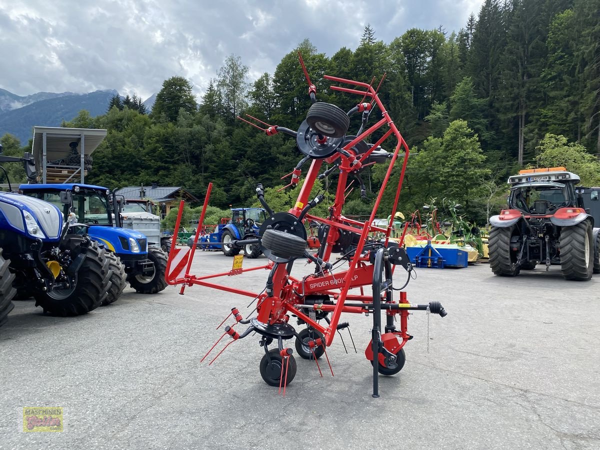 Kreiselheuer typu SIP Spider 600/6 Alp, Neumaschine v Kötschach (Obrázek 7)