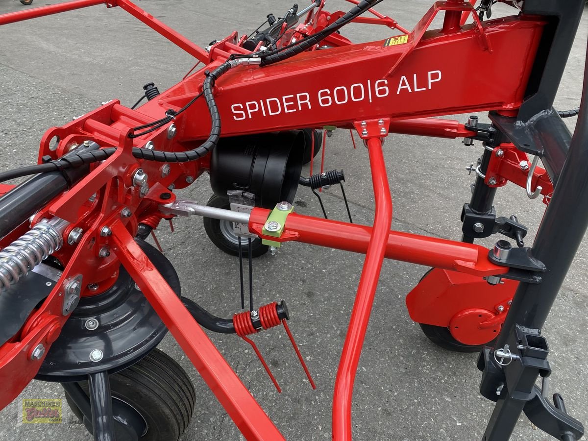 Kreiselheuer des Typs SIP Spider 600/6 Alp, Neumaschine in Kötschach (Bild 30)