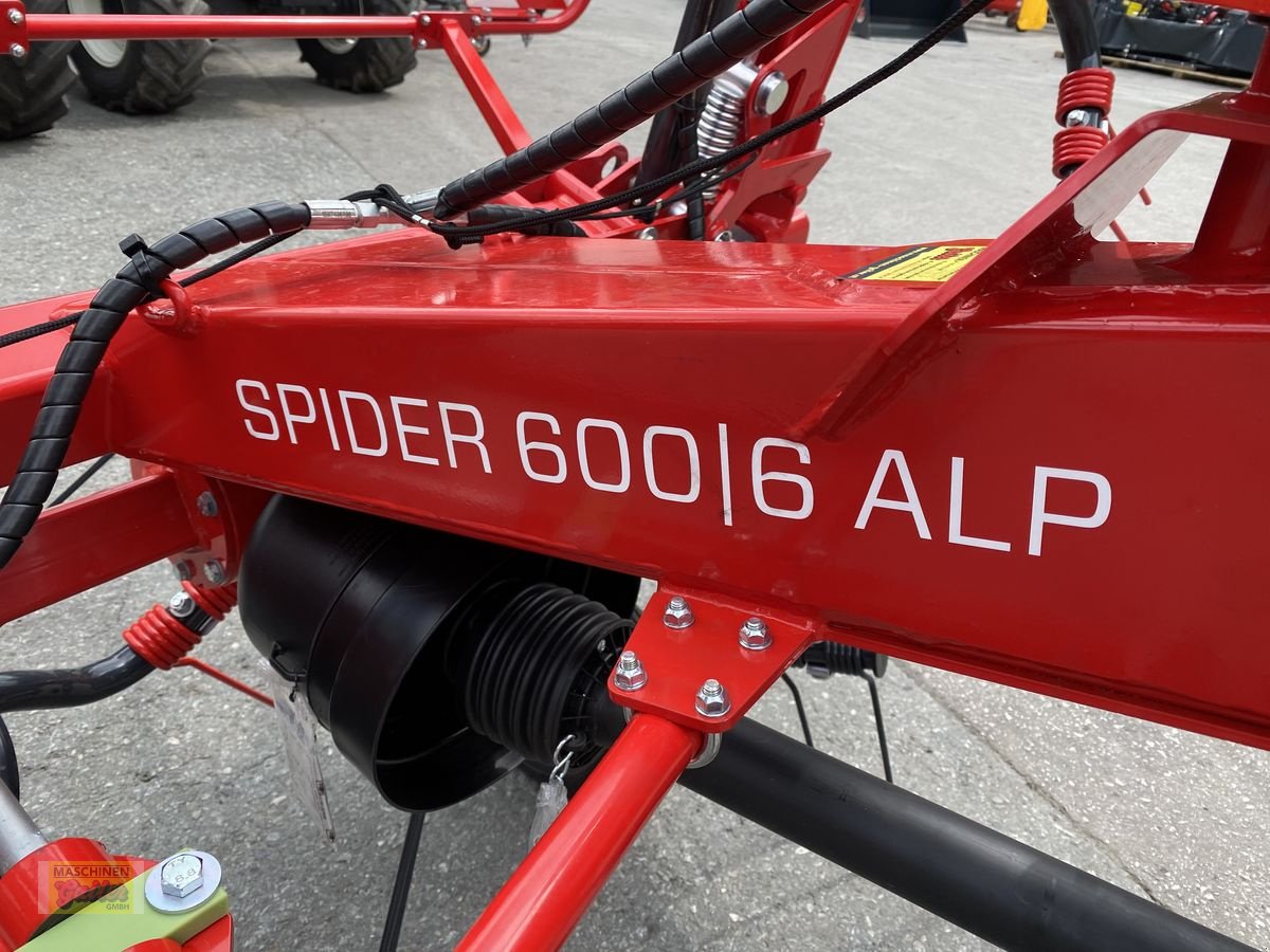 Kreiselheuer des Typs SIP Spider 600/6 Alp, Neumaschine in Kötschach (Bild 18)