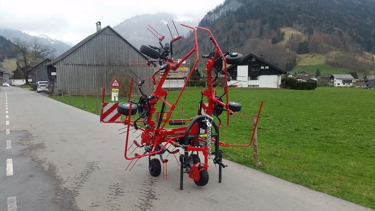 Kreiselheuer of the type SIP Spider 600 Alpin, Neumaschine in Bezau (Picture 6)