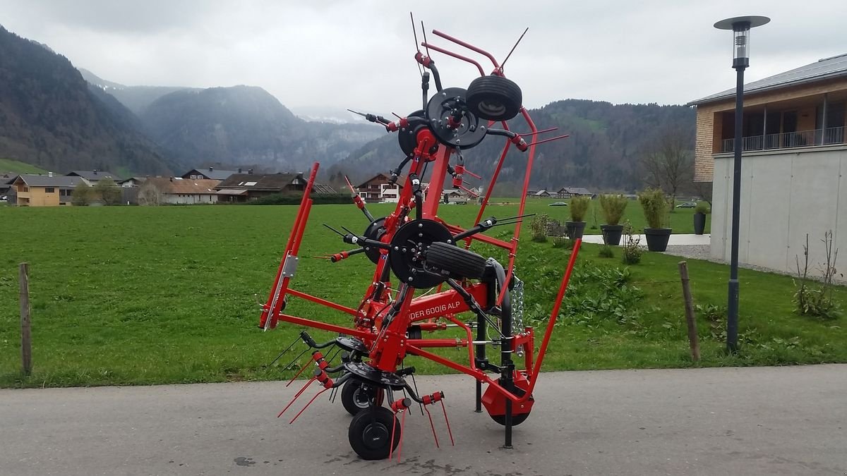 Kreiselheuer of the type SIP Spider 600 Alpin, Neumaschine in Bezau (Picture 4)