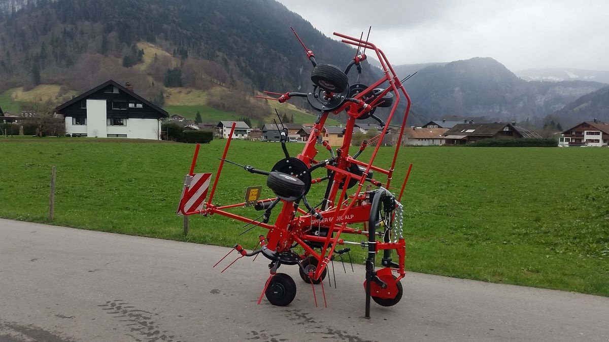 Kreiselheuer of the type SIP Spider 600 Alpin, Neumaschine in Bezau (Picture 5)