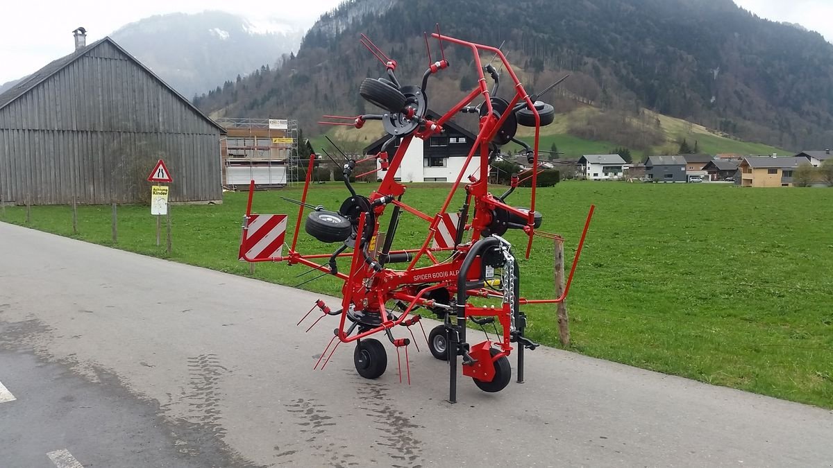 Kreiselheuer of the type SIP Spider 600 Alpin, Neumaschine in Bezau (Picture 1)