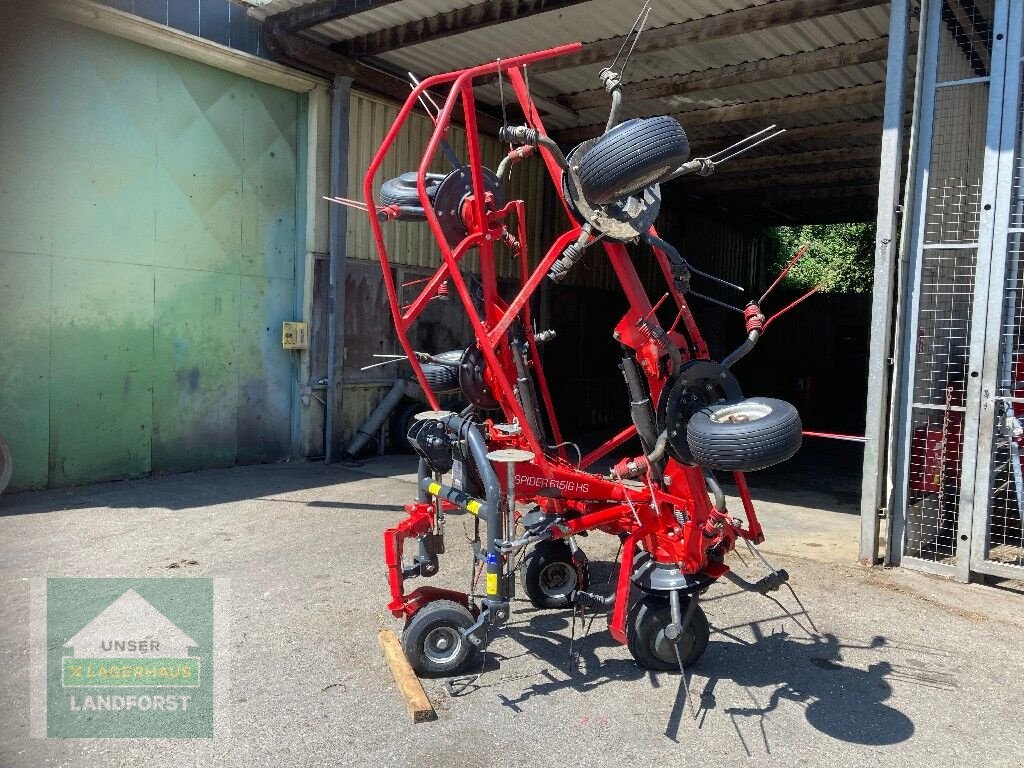 Kreiselheuer of the type SIP Spider 615/6 HS, Gebrauchtmaschine in Kapfenberg (Picture 3)