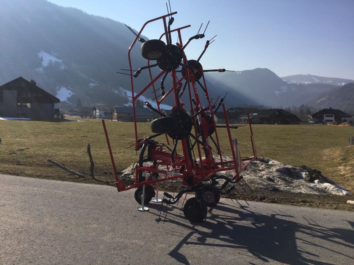 Kreiselheuer Türe ait SIP Spider 685/6 HS, Neumaschine içinde Bezau (resim 3)