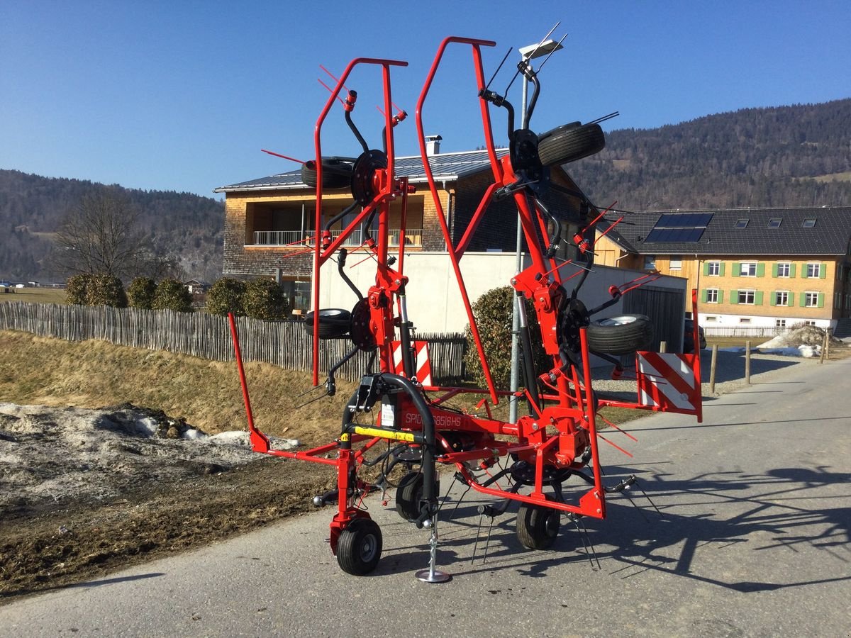 Kreiselheuer Türe ait SIP Spider 685/6 HS, Neumaschine içinde Bezau (resim 7)