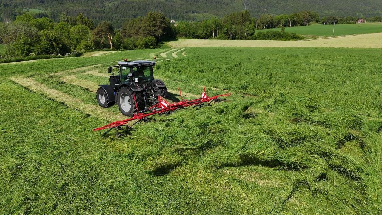 Kreiselheuer Türe ait SIP Spider 775/6, Gebrauchtmaschine içinde Bording (resim 8)