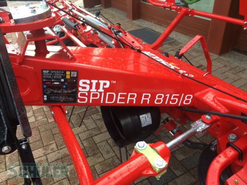 Kreiselheuer des Typs SIP Spieder 815/8, Neumaschine in St. Märgen (Bild 8)