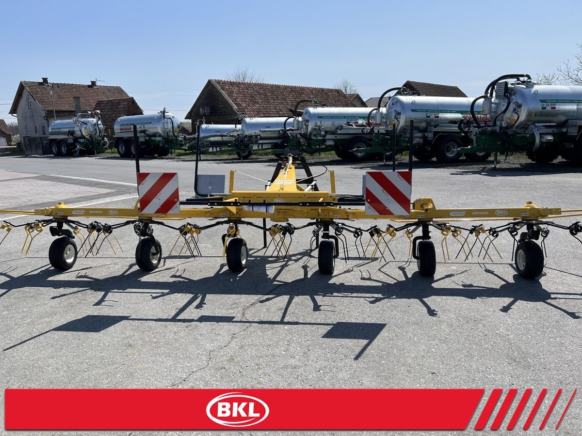 Kreiselheuer des Typs Sonstige Maschio LEVANTE PROFI - Kreiselzettwender, Neumaschine in Rovisce (Bild 8)