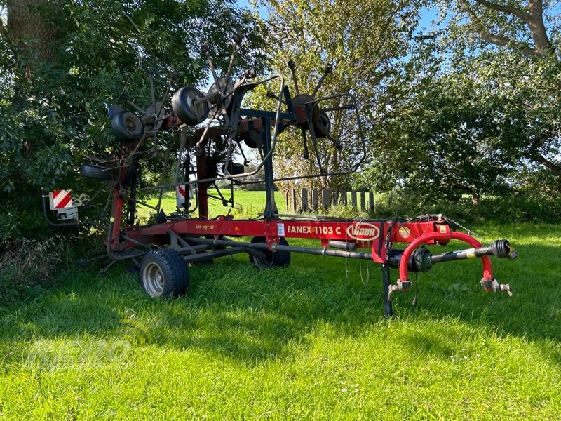 Kreiselheuer Türe ait Vicon Fanex 1103 C, Gebrauchtmaschine içinde Albersdorf (resim 2)