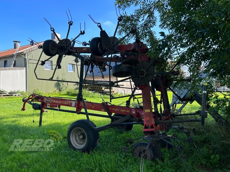 Kreiselheuer Türe ait Vicon Fanex 1103 C, Gebrauchtmaschine içinde Albersdorf (resim 6)