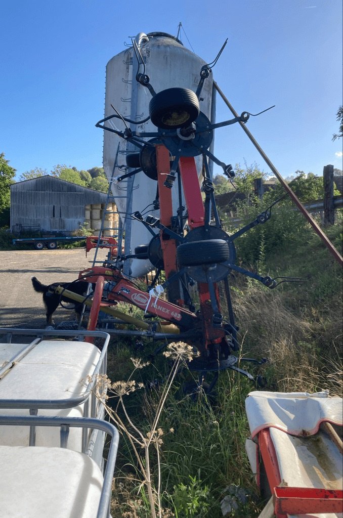 Kreiselheuer of the type Vicon FANEX 683, Gebrauchtmaschine in CINTHEAUX (Picture 3)