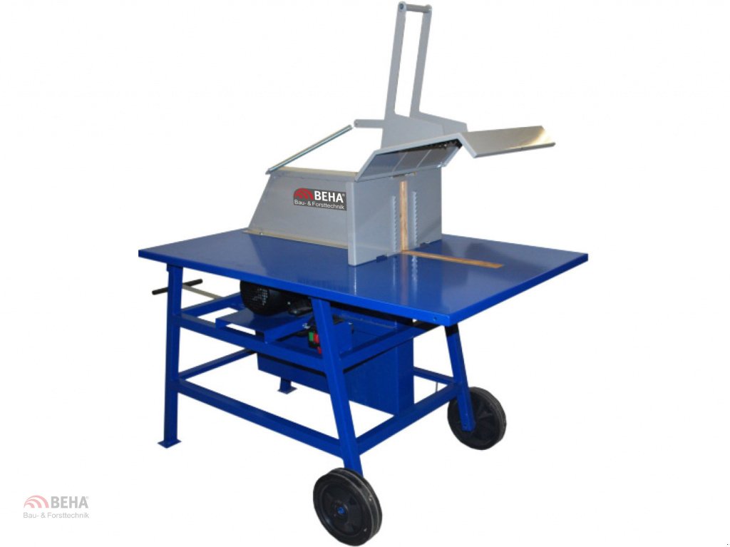Kreissäge & Wippsäge typu BEHA RTS 700/5.5, Neumaschine w Steinach (Zdjęcie 1)
