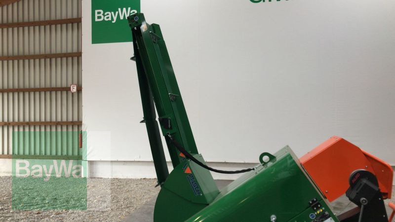 Kreissäge & Wippsäge του τύπου Posch SMARTCUT 700 Typ Z+A+F4, Gebrauchtmaschine σε Mindelheim (Φωτογραφία 4)