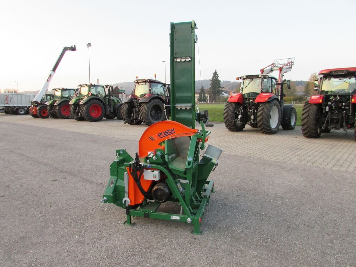 Kreissäge & Wippsäge tipa Posch Wippsäge mit Förderband, Gebrauchtmaschine u Saxen (Slika 3)