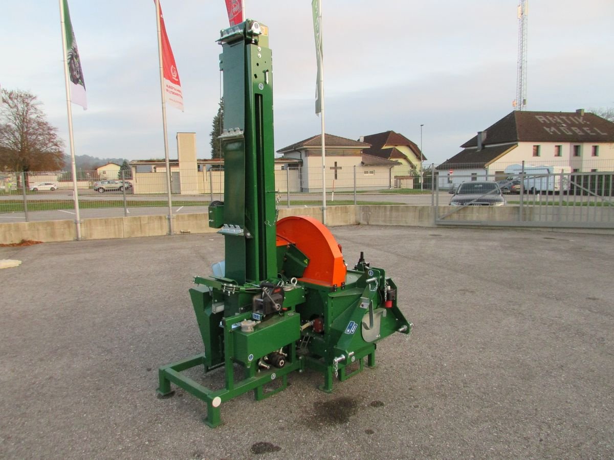 Kreissäge & Wippsäge tipa Posch Wippsäge mit Förderband, Gebrauchtmaschine u Saxen (Slika 9)