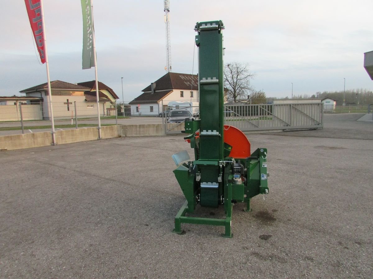 Kreissäge & Wippsäge tipa Posch Wippsäge mit Förderband, Gebrauchtmaschine u Saxen (Slika 8)