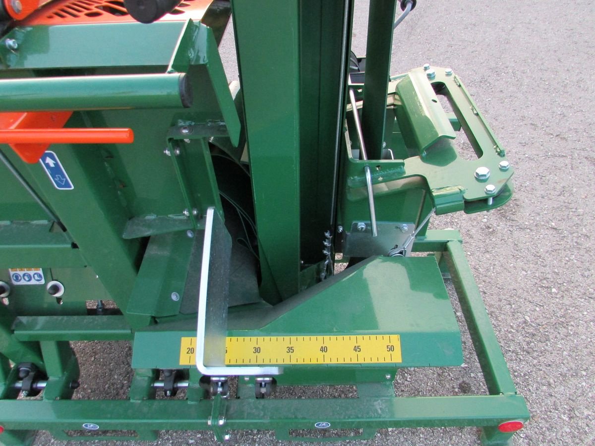 Kreissäge & Wippsäge tipa Posch Wippsäge mit Förderband, Gebrauchtmaschine u Saxen (Slika 5)