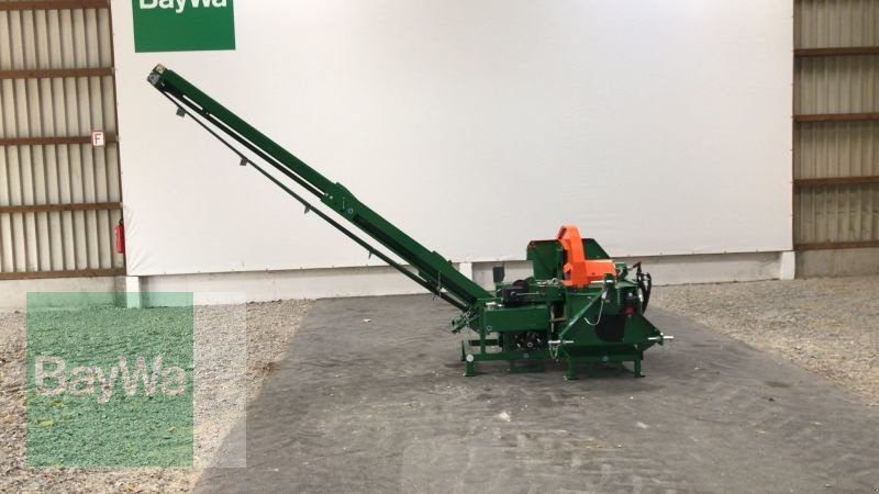 Kreissäge & Wippsäge του τύπου Posch Wippsäge mit Förderband, Gebrauchtmaschine σε Mindelheim (Φωτογραφία 7)