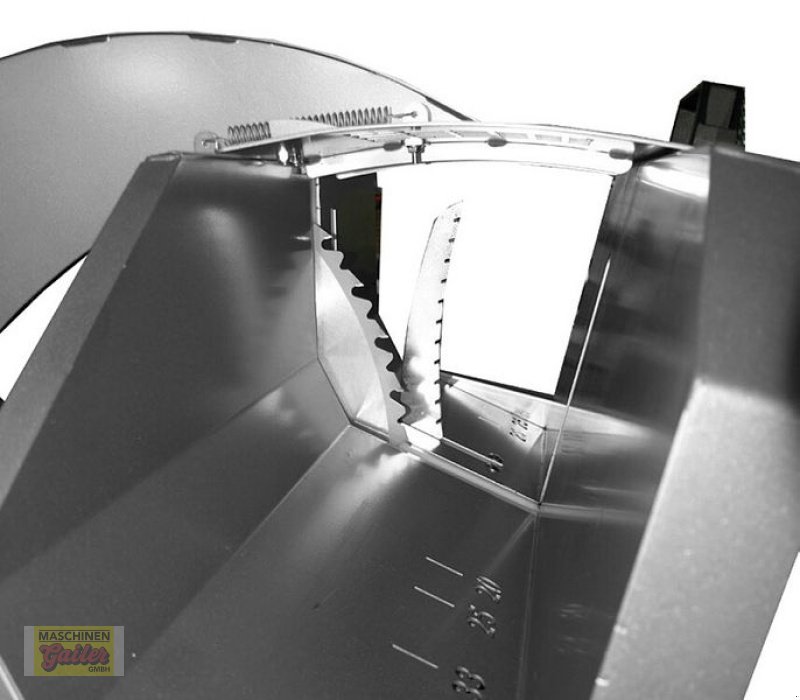 Kreissäge & Wippsäge Türe ait Sonstige AMR WSA-700 P mit Zapfwellenantrieb, Neumaschine içinde Kötschach (resim 5)