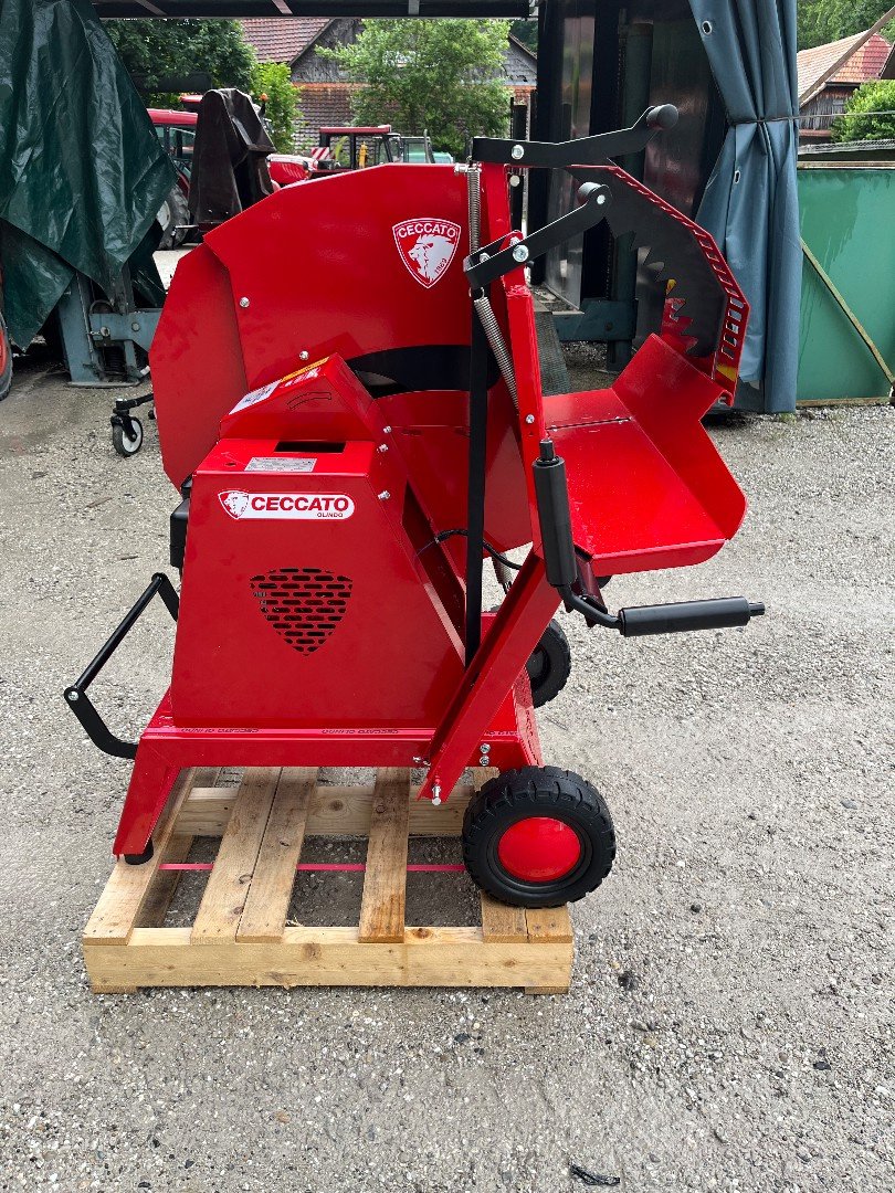 Kreissäge & Wippsäge typu Sonstige Ceccato SGTGX, Neumaschine v Helgisried (Obrázek 6)