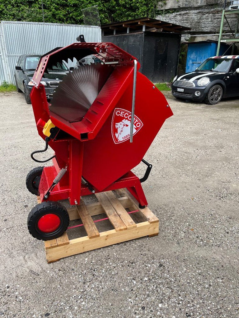 Kreissäge & Wippsäge typu Sonstige Ceccato SGTGX, Neumaschine v Helgisried (Obrázek 1)