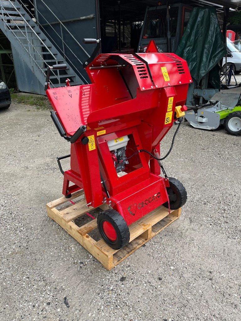 Kreissäge & Wippsäge typu Sonstige Ceccato SGTGX, Neumaschine v Helgisried (Obrázek 3)