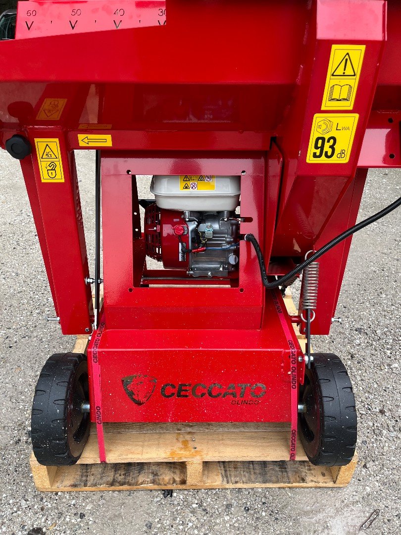 Kreissäge & Wippsäge typu Sonstige Ceccato SGTGX, Neumaschine v Helgisried (Obrázek 2)