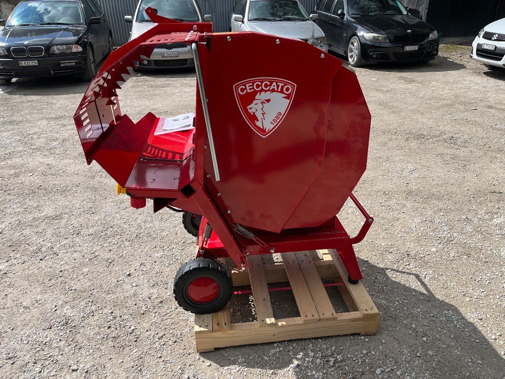 Kreissäge & Wippsäge a típus Sonstige CECCATO SGTTRI, Neumaschine ekkor: Helgisried (Kép 2)