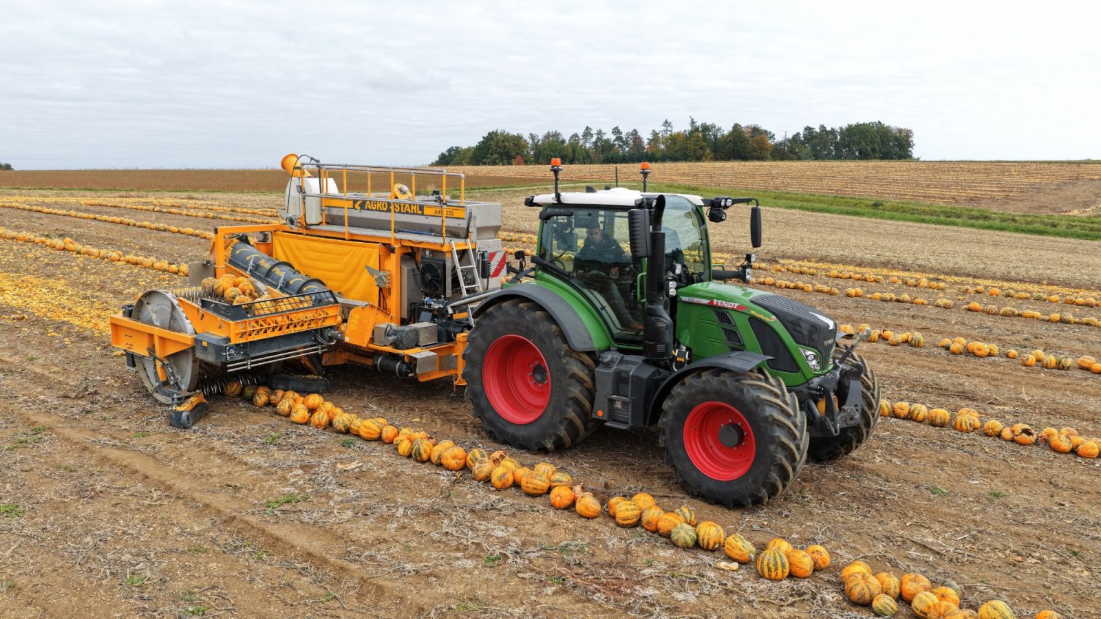 Kürbiskernerntemaschine typu AGRO-STAHL AXR 330, Neumaschine v Wundschuh (Obrázek 2)