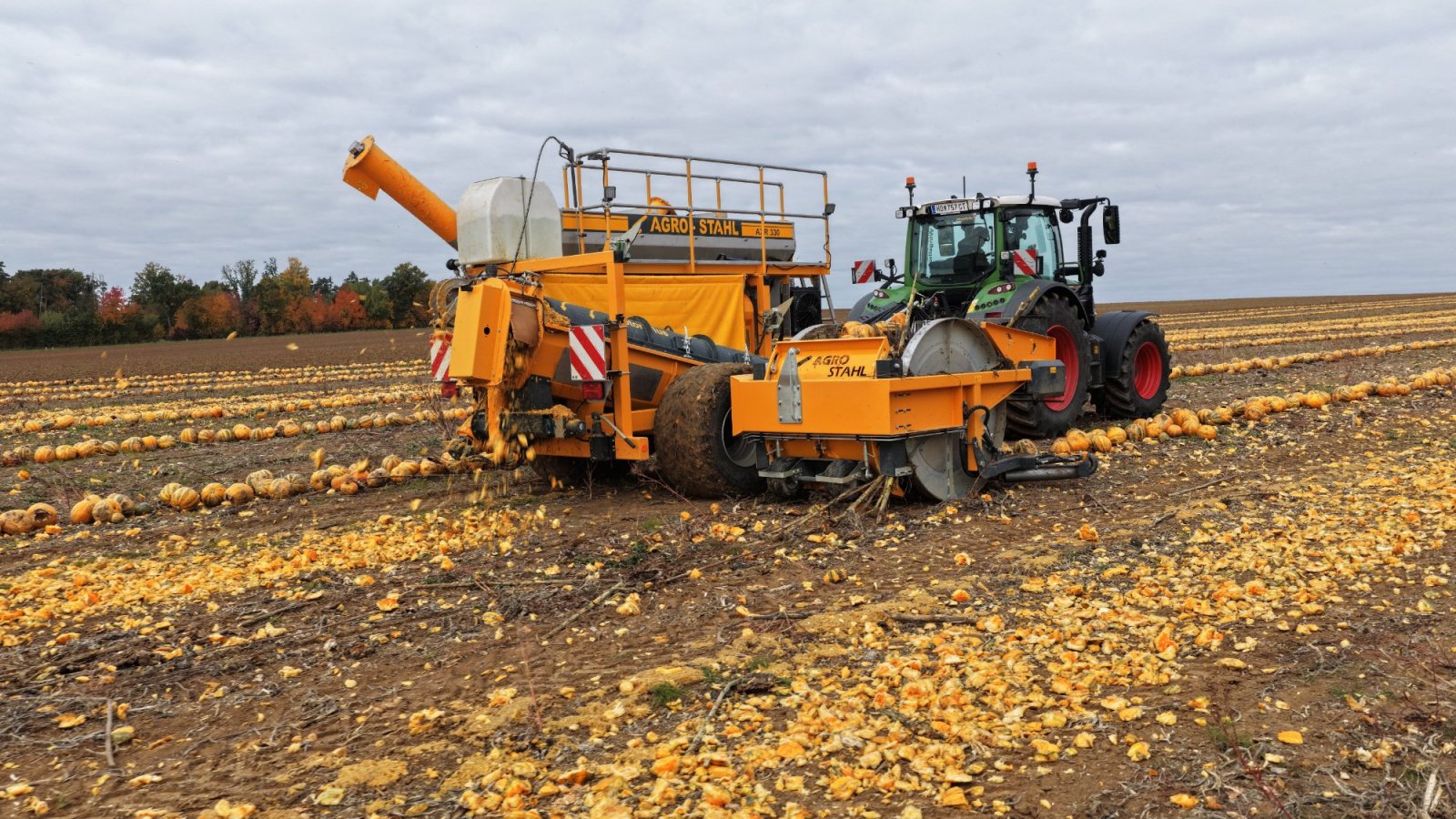 Kürbiskernerntemaschine typu AGRO-STAHL AXR 330, Neumaschine v Wundschuh (Obrázek 3)