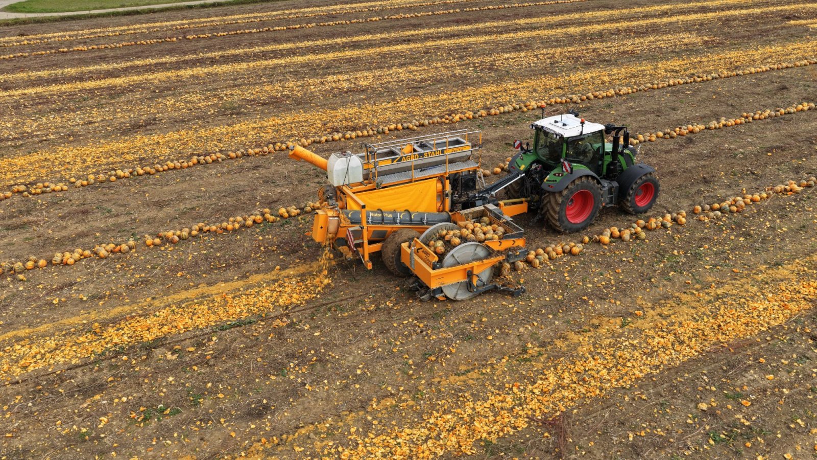 Kürbiskernerntemaschine typu AGRO-STAHL AXR 330, Neumaschine v Wundschuh (Obrázek 4)