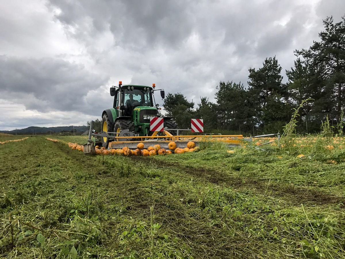 Kürbiskernerntemaschine des Typs AGRO-STAHL Kürbisschieber-ECO, Neumaschine in Wundschuh (Bild 2)