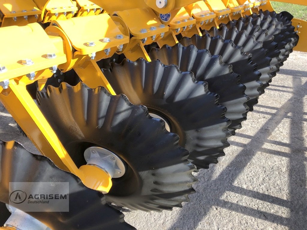Kurzscheibenegge van het type Agrisem Disc-O-Mulch Serie R, Neumaschine in Römstedt (Foto 15)