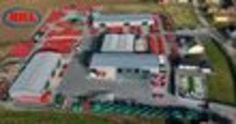 Kurzscheibenegge des Typs Agro-Masz BT30, Neumaschine in Rovisce (Bild 13)