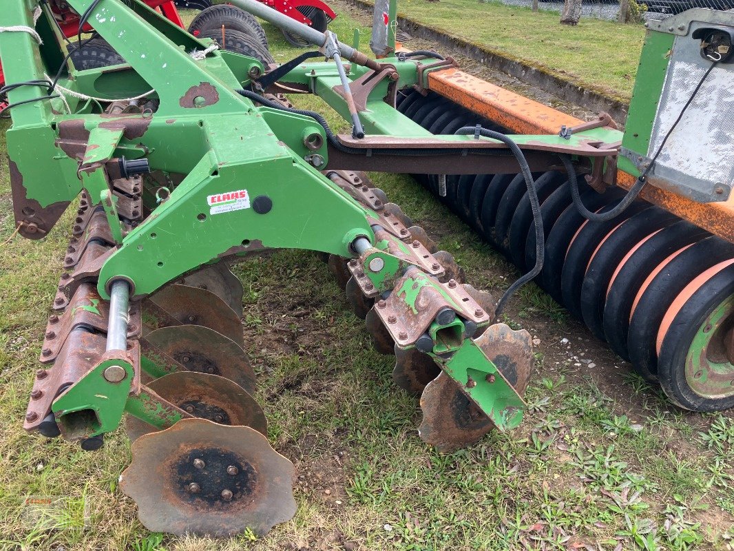 Kurzscheibenegge του τύπου Amazone Catros+ 3001, Gebrauchtmaschine σε Sörup (Φωτογραφία 3)