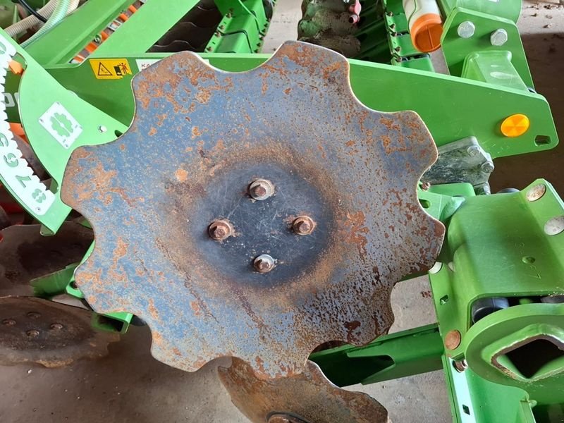 Kurzscheibenegge Türe ait Amazone Catros+ 3003 Special Kurzscheibenegge, Vorführmaschine içinde St. Marienkirchen (resim 10)