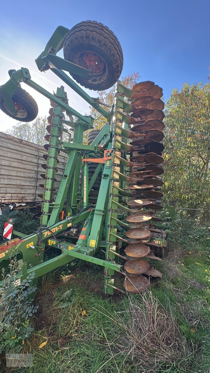 Kurzscheibenegge des Typs Amazone CATROS PLUS 7501 T, Gebrauchtmaschine in Prenzlau (Bild 8)