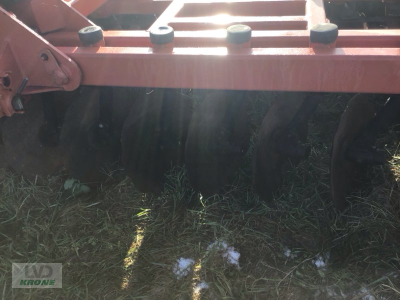 Kurzscheibenegge typu Evers RE 570/56, Gebrauchtmaschine v Zorbau (Obrázek 9)