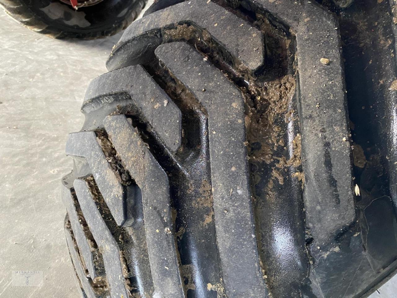 Kurzscheibenegge του τύπου Horsch Joker 12 RT, Gebrauchtmaschine σε Pragsdorf (Φωτογραφία 5)