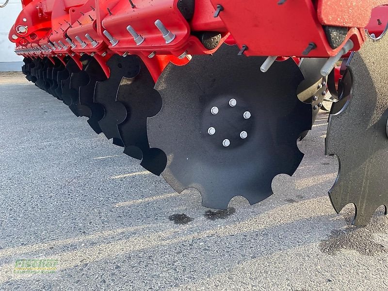 Kurzscheibenegge Türe ait Horsch Joker 5 CT, Neumaschine içinde Kroppach (resim 10)