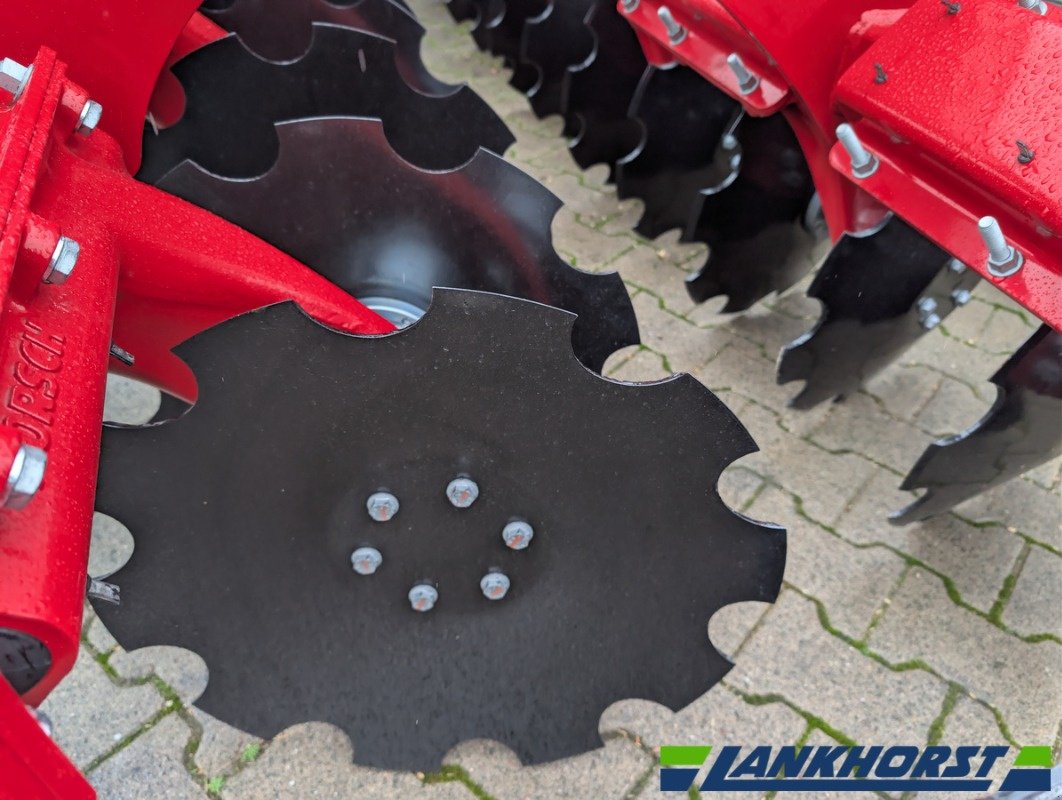 Kurzscheibenegge του τύπου Horsch JOKER 6 CT, Neumaschine σε Neuenkirchen / Bramsche (Φωτογραφία 9)