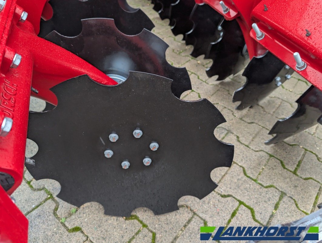 Kurzscheibenegge του τύπου Horsch JOKER 6 CT, Neumaschine σε Neuenkirchen / Bramsche (Φωτογραφία 10)