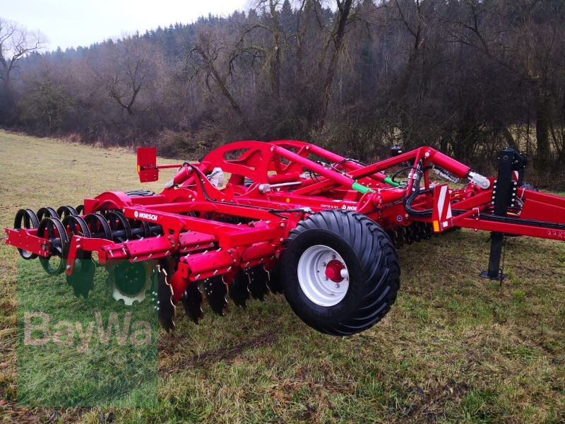 Kurzscheibenegge типа Horsch Joker 6 RT M19, Vorführmaschine в Eutingen (Фотография 5)