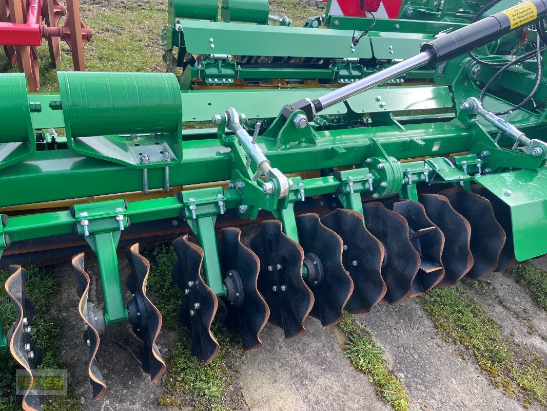 Kurzscheibenegge typu Kerner X-Cut Solo 600, Vorführmaschine v Grabow (Obrázek 4)