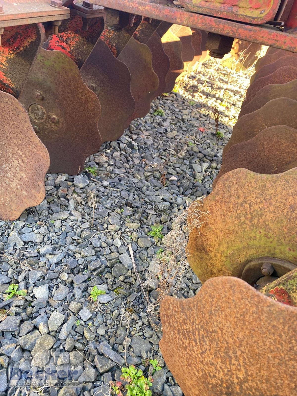 Kurzscheibenegge des Typs Knoche Discmax 30, Gebrauchtmaschine in Weimar-Niederwalgern (Bild 5)