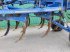Kurzscheibenegge del tipo Köckerling Quadro 570, Gebrauchtmaschine In Liebenwalde (Immagine 16)